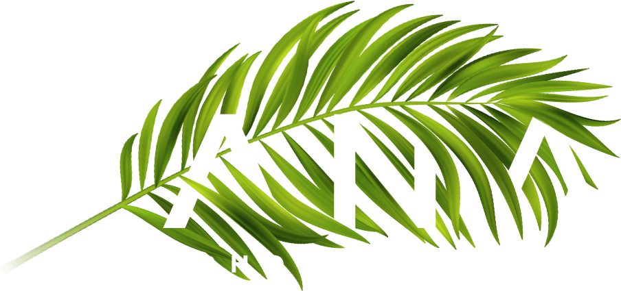 Photographer in Hana